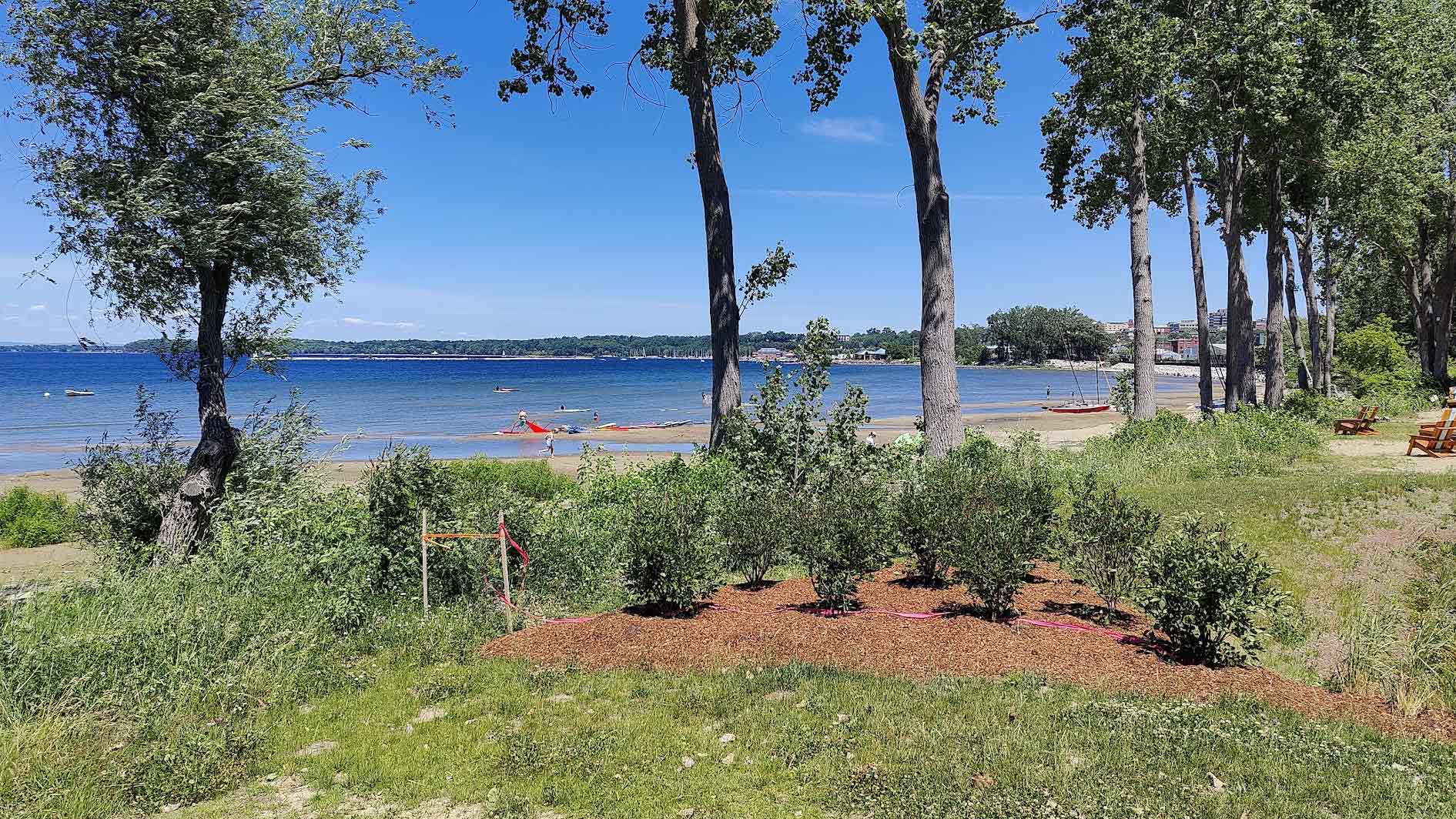 grass & trees in the foreground with lake champlain in the background