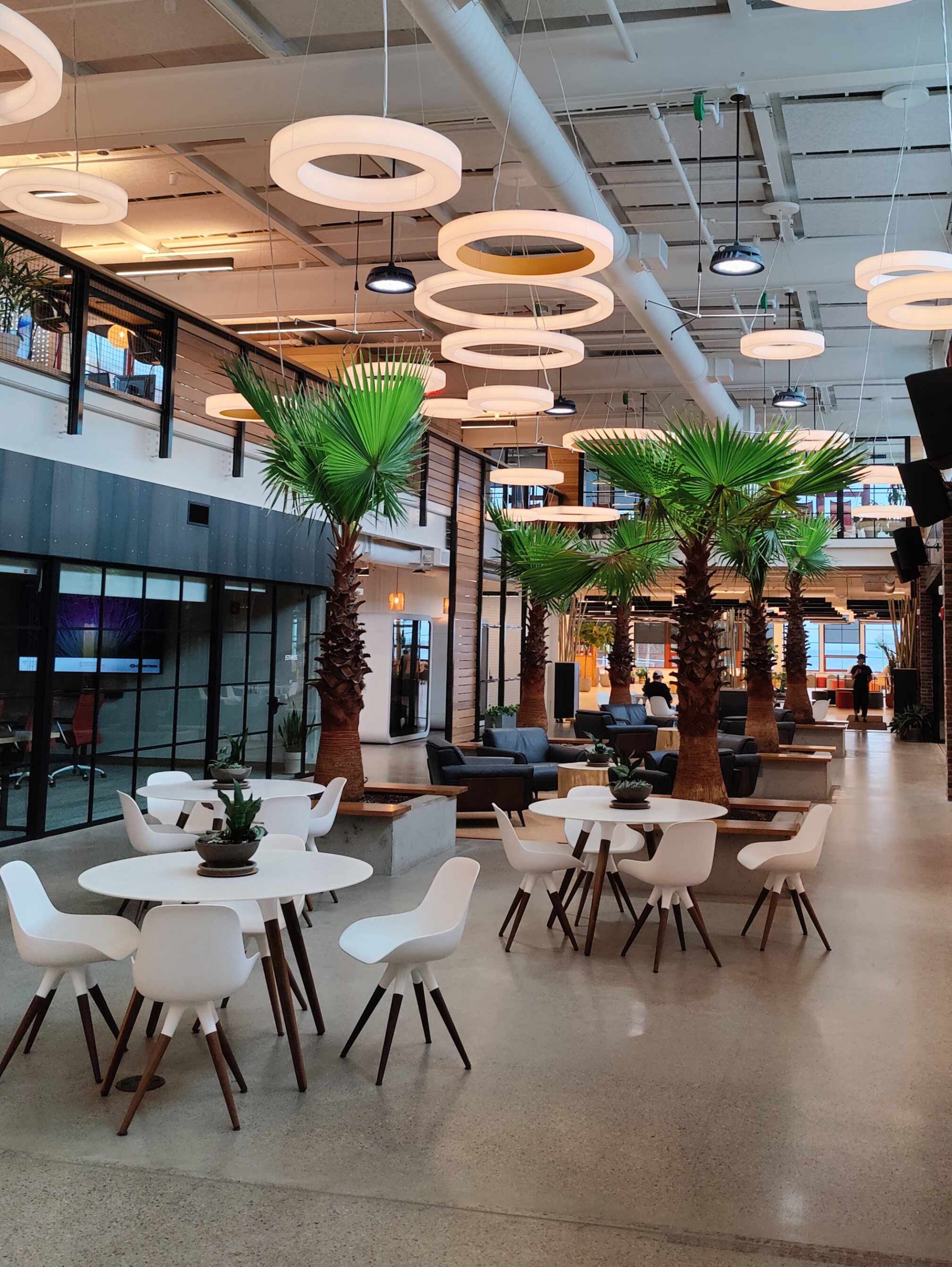 hula interior with tables, palm trees & circular lights