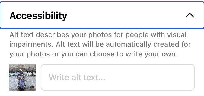 Instagram's Alt text input