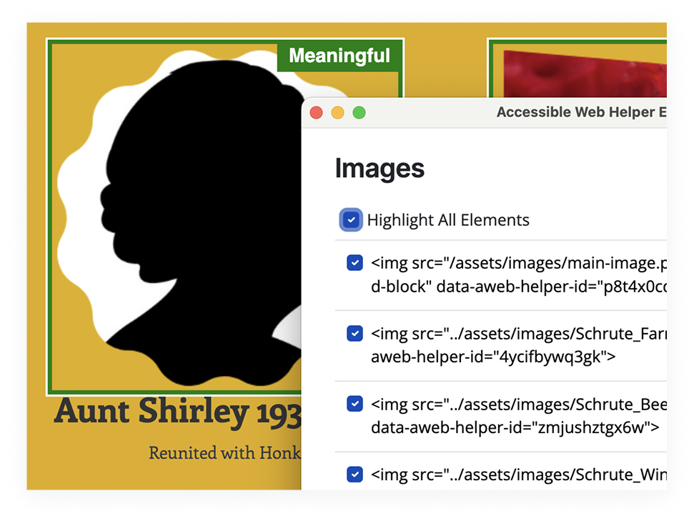 The image highlighter displaying a border around a meaningful image on the page.